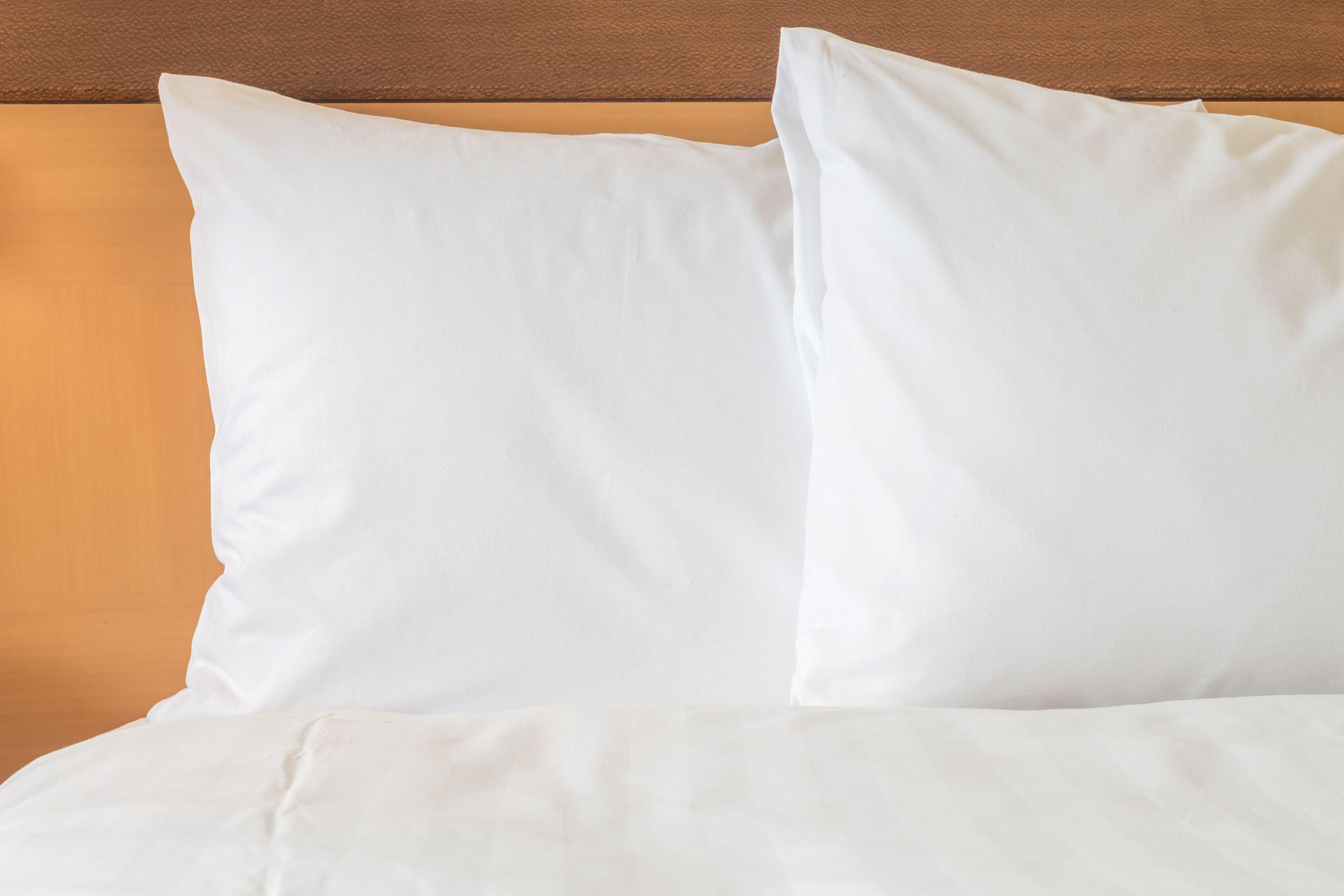 Holiday Inn Express & Suites Moncton By Ihg Eksteriør bilde